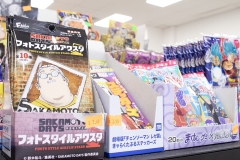 anime_017_1000_750