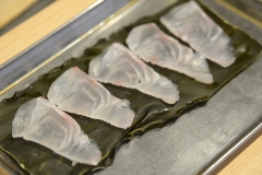 Kobujime Sashimi