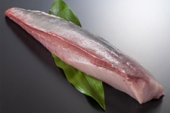 HAMACHI YELLOWTAIL LOIN