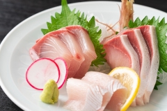 Sashimi
