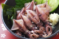 Boiled Hotaruika Appetizer