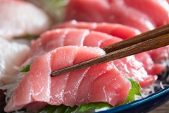 toro_chutoro_bluefin_bf_002_1000_750