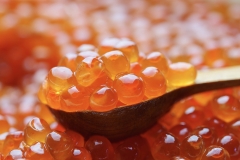 IKURA SALMON ROE