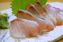 Sashimi