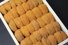 uni_japan_m_size_narabi_002_1000_750