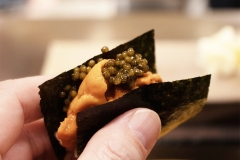 Uni - Sea Urchin