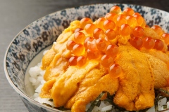Uni - Sea Urchin