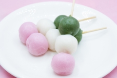 sanshokudango_103_1000_750