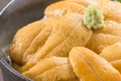 West Cost Sea Urchin