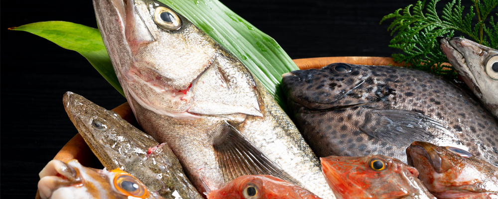 Fish from Japan